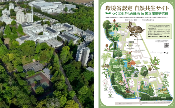 国立環境研究所の写真と自然共生の図