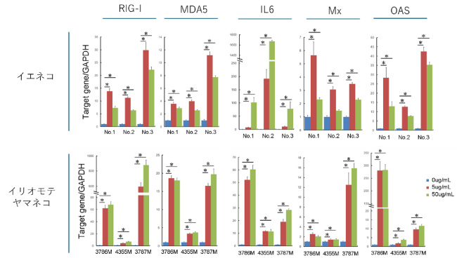 ウイルス類似物質ばく露後の遺伝子発現の図