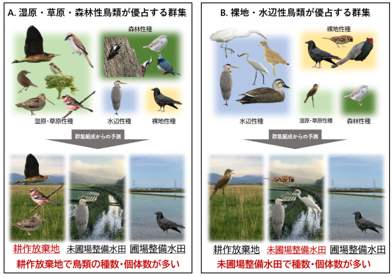 本研究で提案した概念モデル