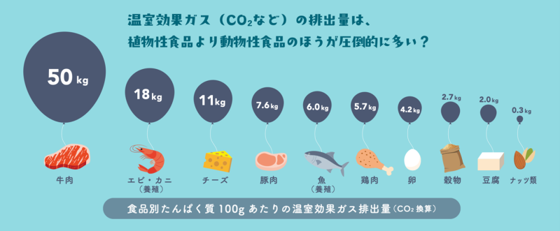 食品別たんぱく質100gあたりの温室効果ガス排出量の図