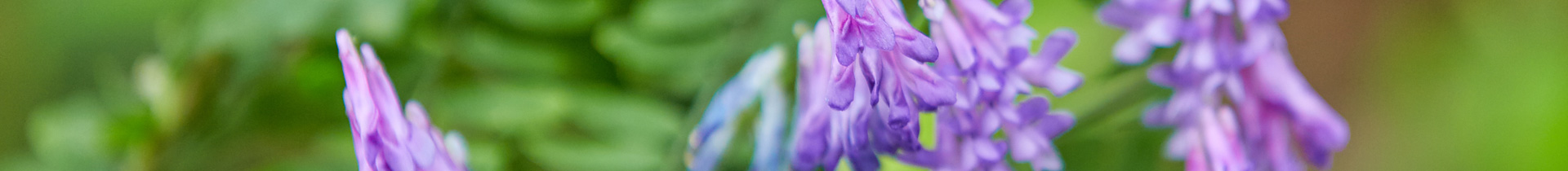 研究所内で撮影した写真