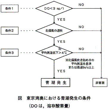 図  東京湾奥における青潮発生の条件