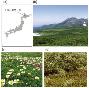 大雪山国立公園の位置(a)と風景の写真