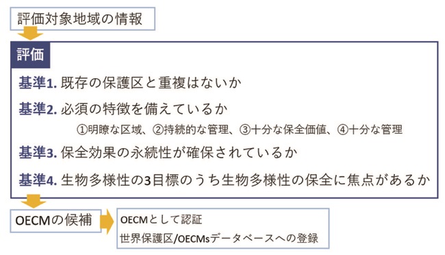 OECMsの評価の流れの図