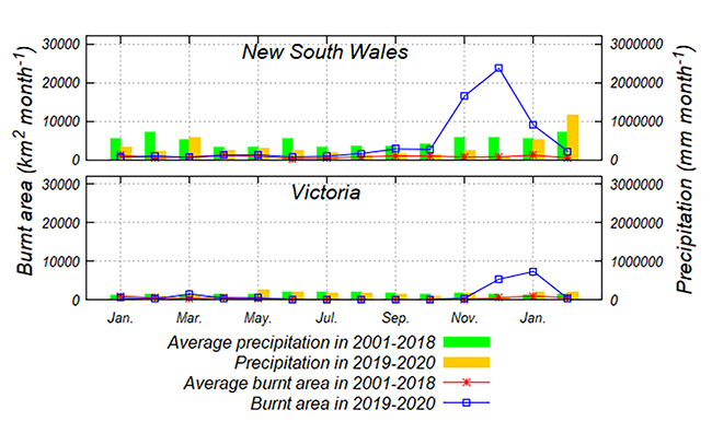 ニューサウスウェールズ州とビクトリア州の月毎の森林火災面積と降水量の図