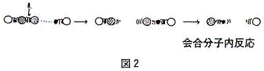 図２　会合分子内反応