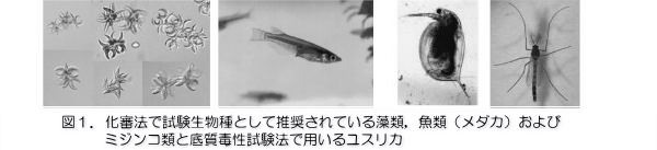 「図1:化審法で試験生物種として推奨されている藻類、魚類(メダカ)およびミジンコ類と底質毒性試験法で用いるユスリカ」を示す画像