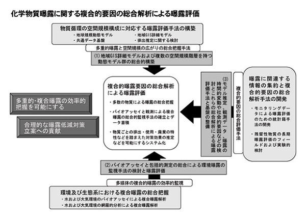 「化学物質曝露に関する複合的要因の総合解析による曝露評価」を示す概要図