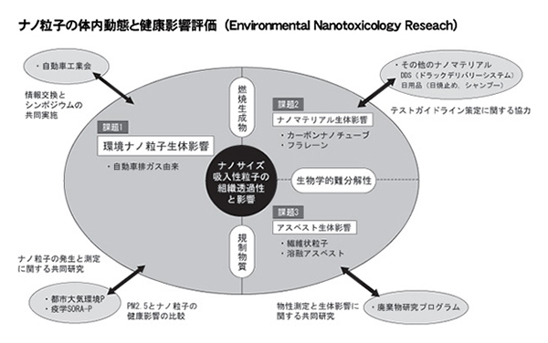 「感受性要因に注目した化学物質の健康影響」を示す概要図