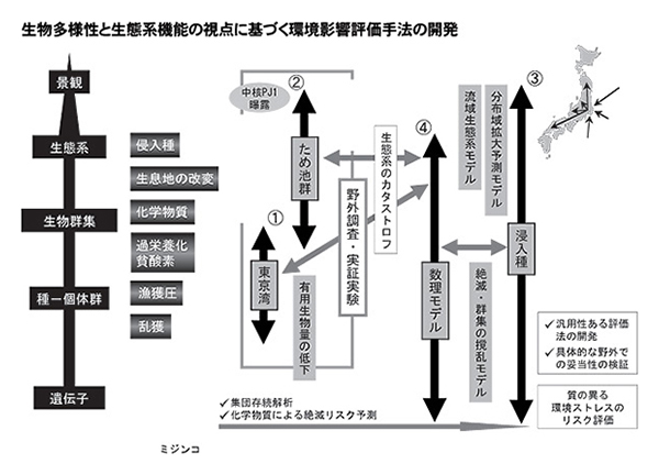 「生物多様性と生態系機能の視点に基づく環境影響評価手法の開発」を示す概要図