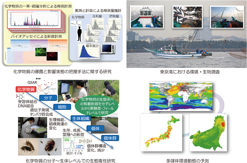 リスク分野の研究内容を示した図