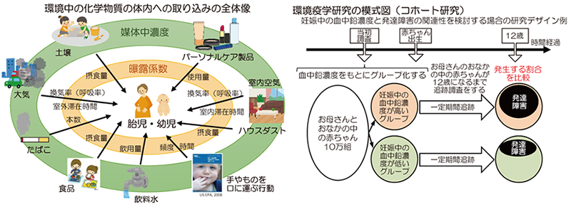 健康分野の研究内容を示した図