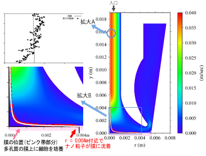 「気液界面細胞曝露装置内の流体速度、空気の流線、粒径100 nm球形粒子の軌跡の一例」の図