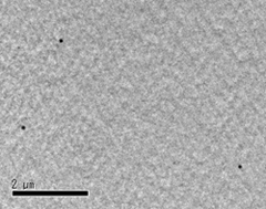 「真球粒子の透過型電子顕微鏡写真」の画像