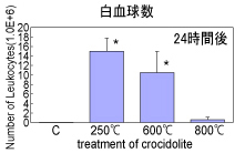 「生理食塩水とそれぞれ250℃、600℃、800℃熱処理クロシドライト100μgをマウスの腹腔内に投与して24時間後の腹腔内の白血球数（コントロール、熱処理250℃、600℃、800℃）」の棒グラフ