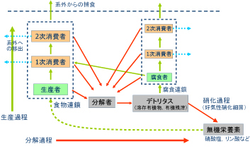 「生態系における物質循環」の図