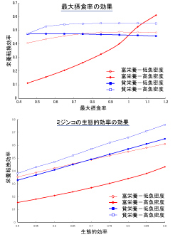 「1次消費者の最大摂食率と生態的効率の生態系栄養転換効率に与える影響」のグラフ