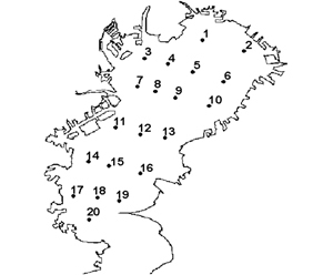 「調査地点（東京湾20定点）」の図