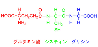 「グルタチオンの構造式」を示した図