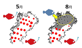 「貧酸素水塊と底棲魚介類の空間分布」を示した図