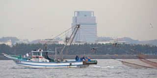 「東京湾における調査の際の底曳き網による魚介類採集の様子」の写真