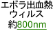 エボラ出血熱ウィルス約800nm