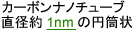 カーボンナノチューブ直径約1nmの円筒状