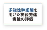 多能性幹細胞を用いた神経発達毒性の評価