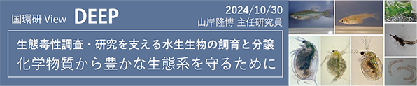 国環研View DEEP 2024/10/30「生態毒性調査・研究を支える水生生物の飼育と分譲 化学物質から豊かな生態系を守るために」山岸隆博主任研究員