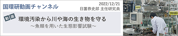 国環研動画チャンネル 2022/12/21「環境汚染から川や海の生き物を守る～魚類を用いた生態影響試験～」日置恭史郎主任研究員