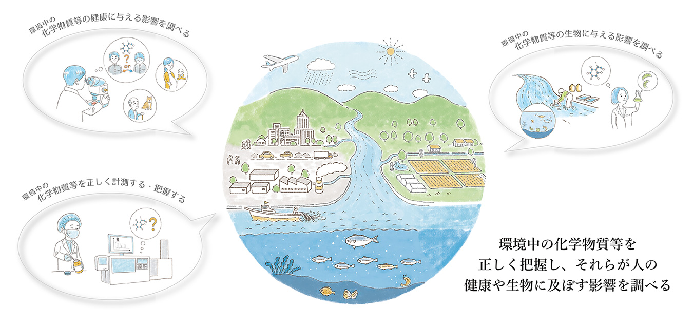 環境中の化学物質等を正しく把握し、それらが人の健康や生物に及ぼす影響を調べる（研究概要イラスト大）