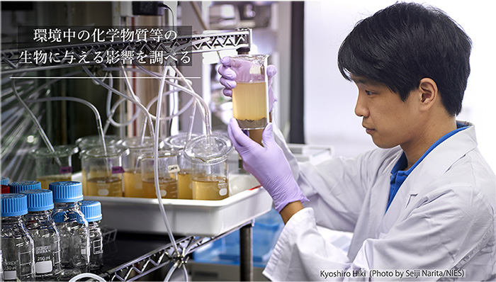 環境中の化学物質等の生物に与える影響を調べる（日置主任研究員の写真中）