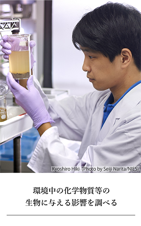 環境中の化学物質等の生物に与える影響を調べる（日置主任研究員の写真小）