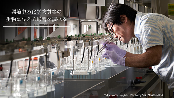 環境中の化学物質等の生物に与える影響を調べる（山岸主任研究員の写真中）