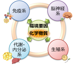 PJ1健康有害性プロジェクトの概要図