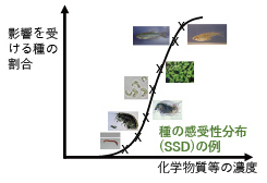 PJ1健康有害性プロジェクトの概要図