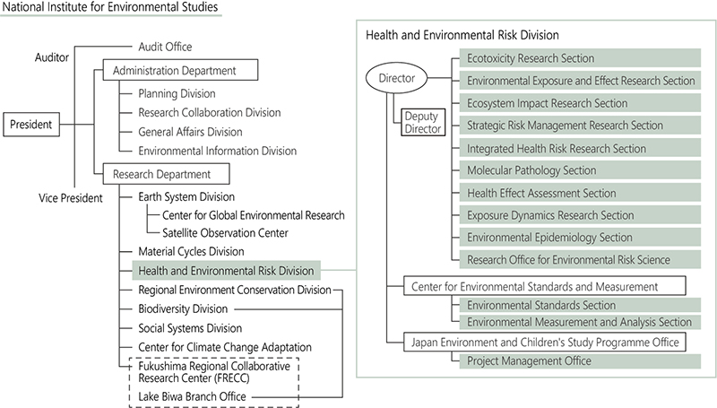 環境リスク・健康領域の組織図