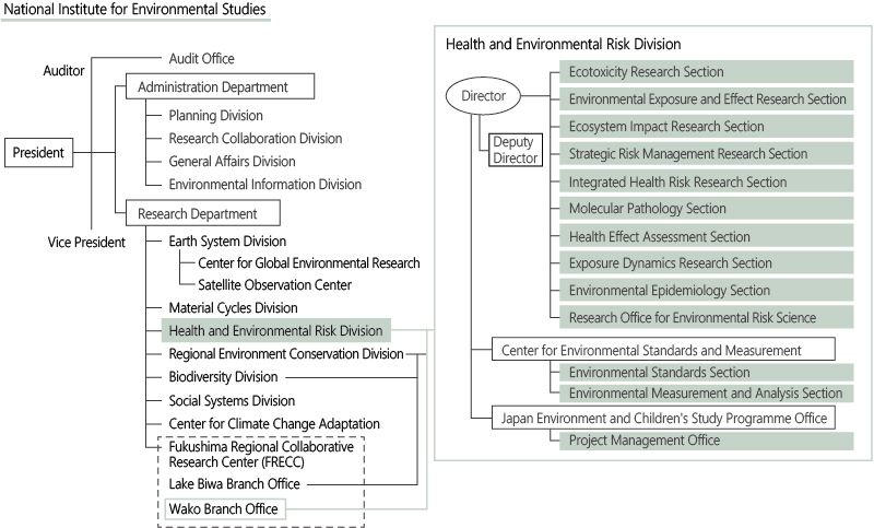 Organization Chart