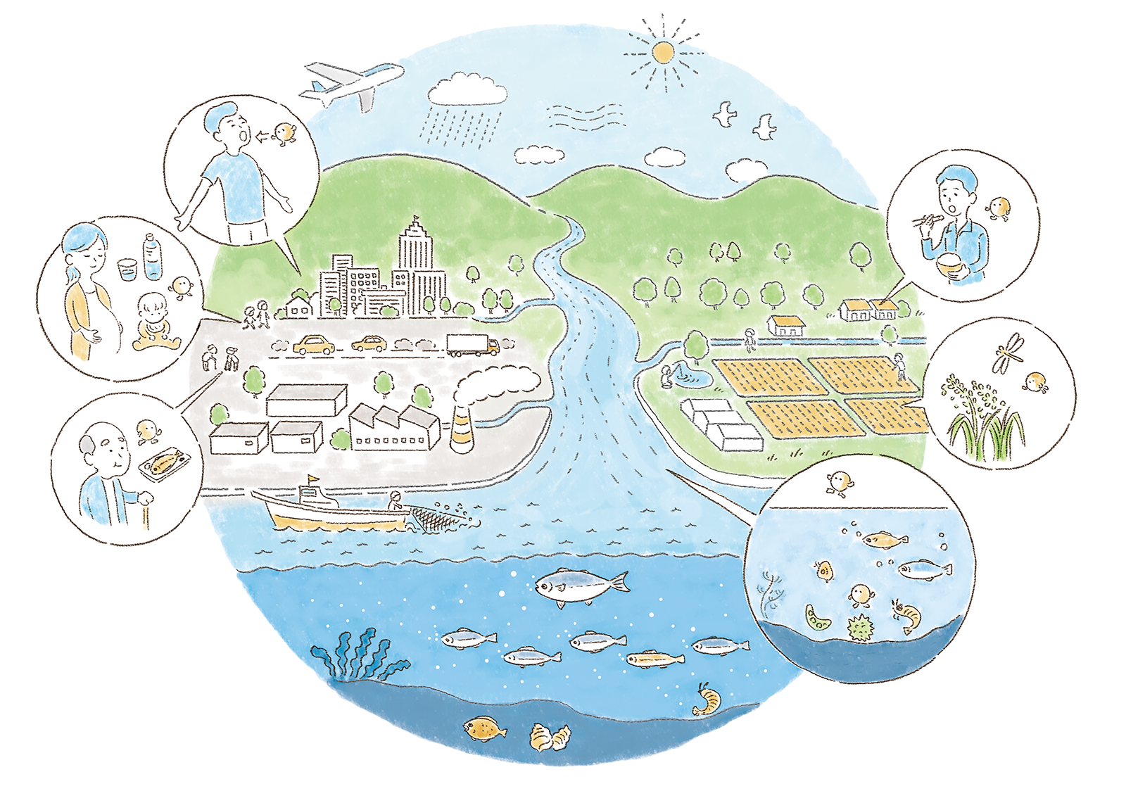 Research background of the comprehensive environmental risk research program. Illustrations of the natural environment, human living environment, ecosystem, etc.