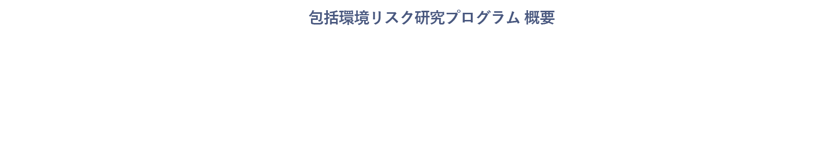 包括環境リスク研究プログラム概要