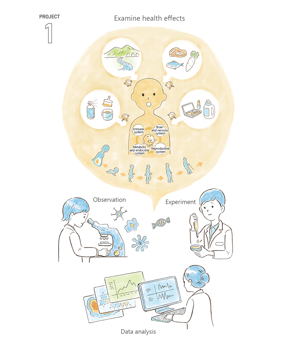 PJ1_illustration, Examine health effects