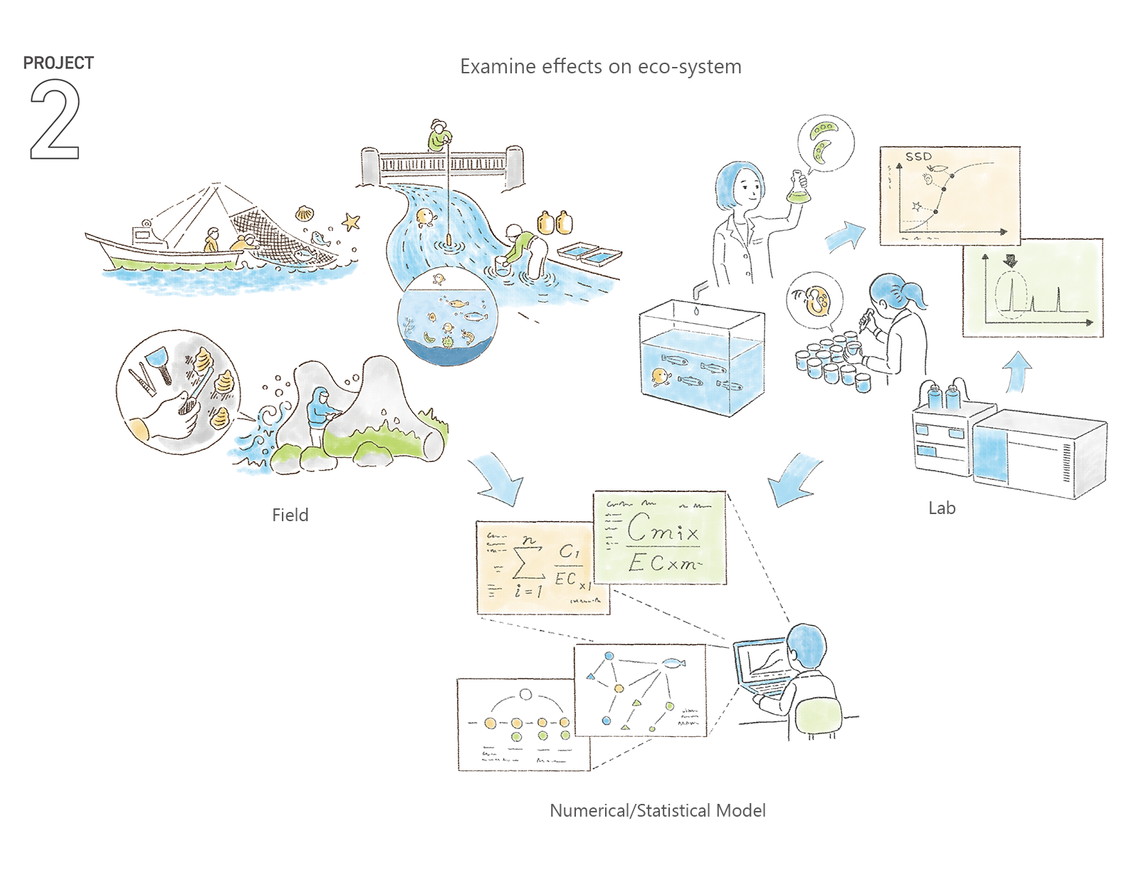 PJ2_illustration, Examine effects on eco-system