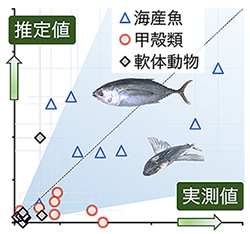 水銀の環境動態を把握し将来の海産物中水銀濃度を予測する研究を行っています（グラフ図）