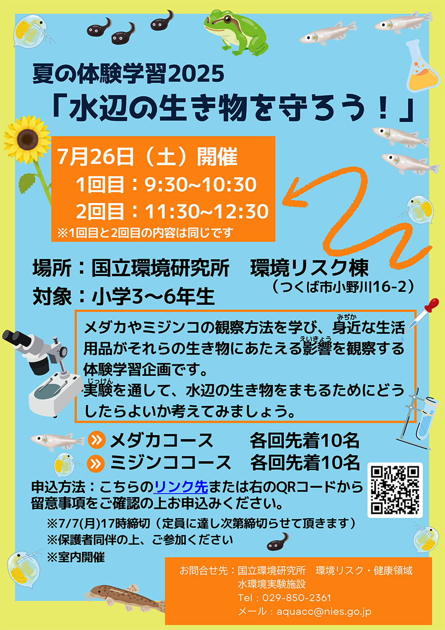 夏の体験学習2025「水辺の生き物を守ろう!」案内