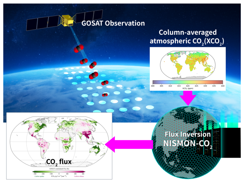 Reduced CO2 uptake by the terrestrial biosphere at northern mid-to