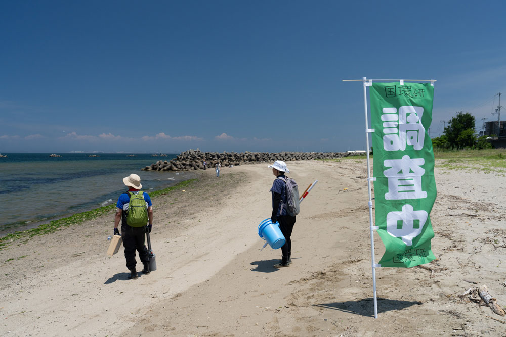調査地の写真
