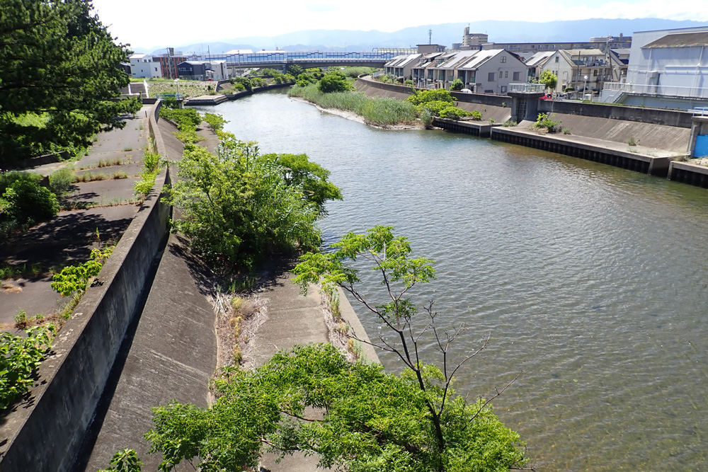 調査地の写真
