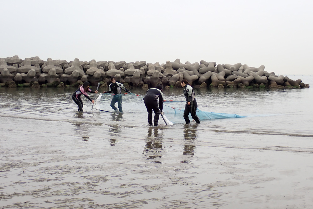 調査用の地引網を湾の沖合から岸近くまで調査員4人で引っ張っている写真