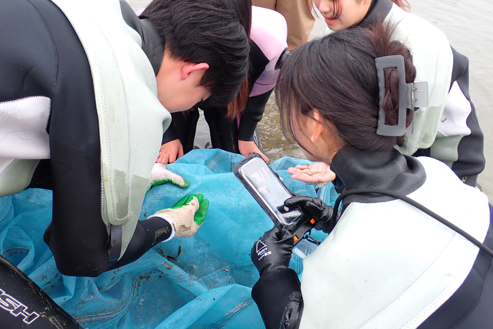 4名の調査員が網を囲んで注意深く中身をチェックしている。調査員のひとりはスマホのカメラを構え、どんなものも見逃さない。