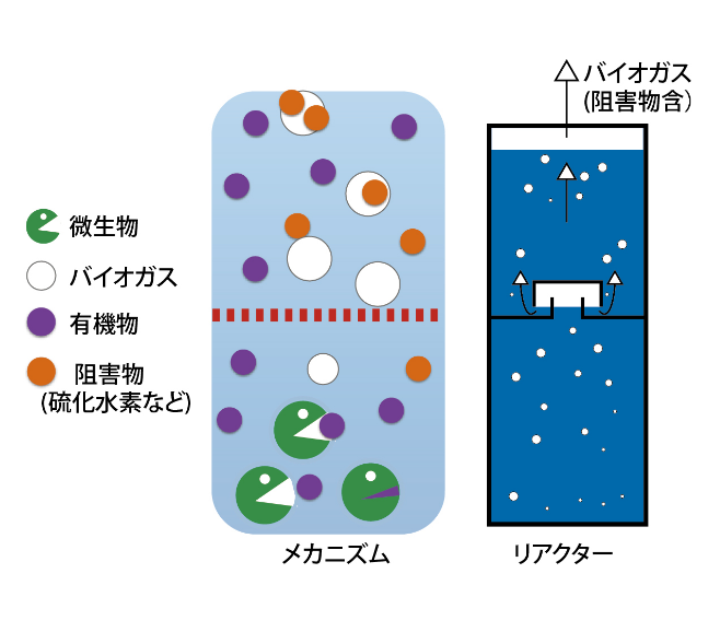 図：新しいバイオリアクターの開発